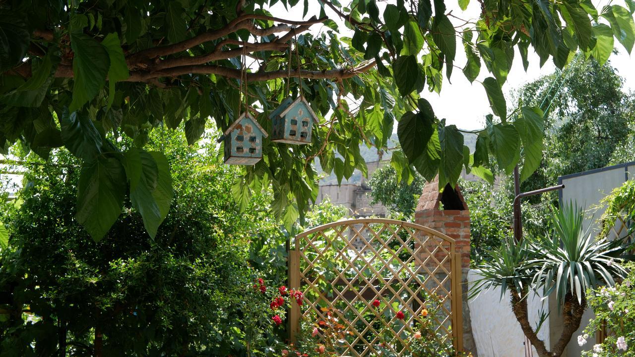 Hotel My Garden Tbilisi Esterno foto