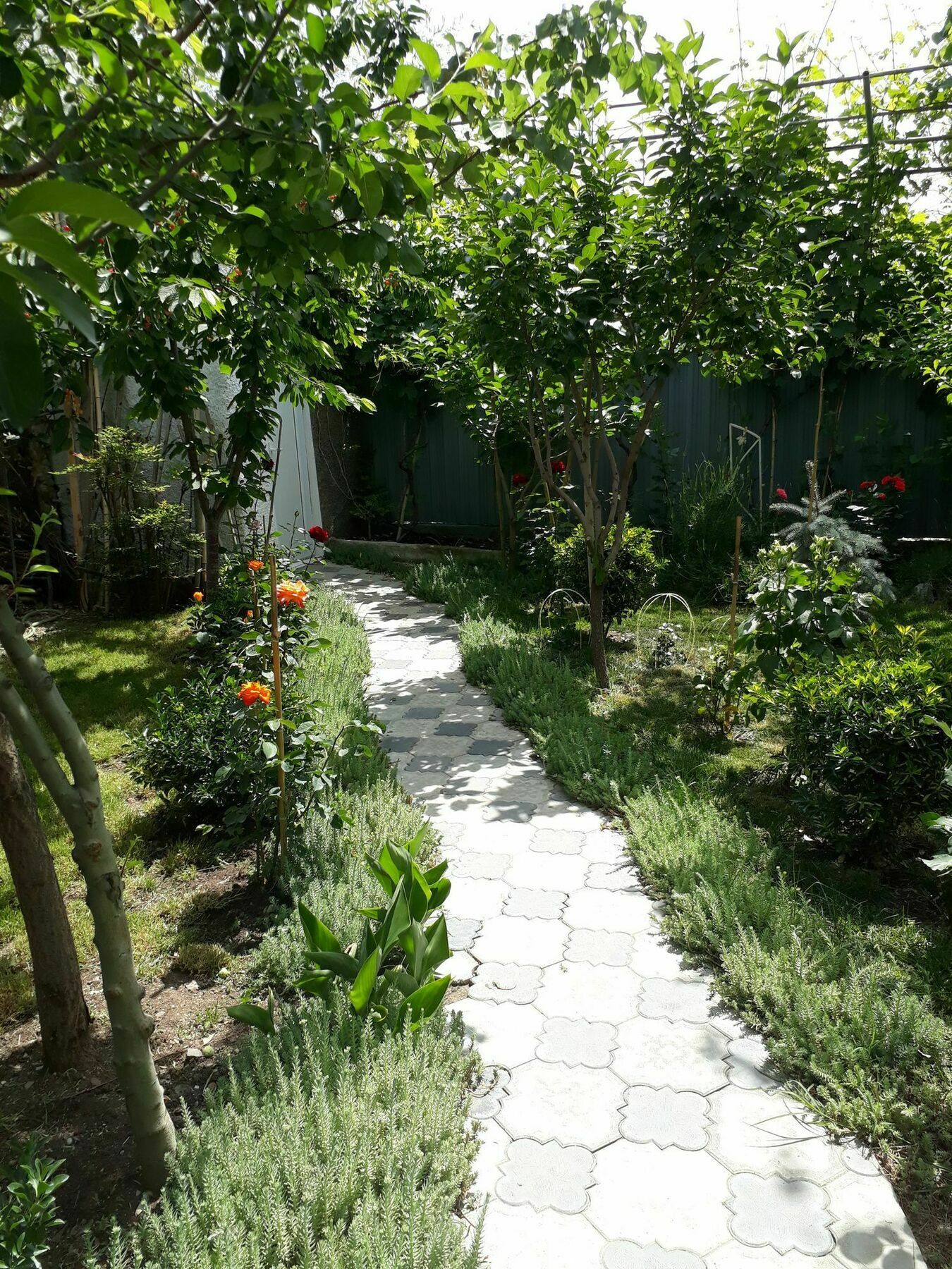 Hotel My Garden Tbilisi Esterno foto