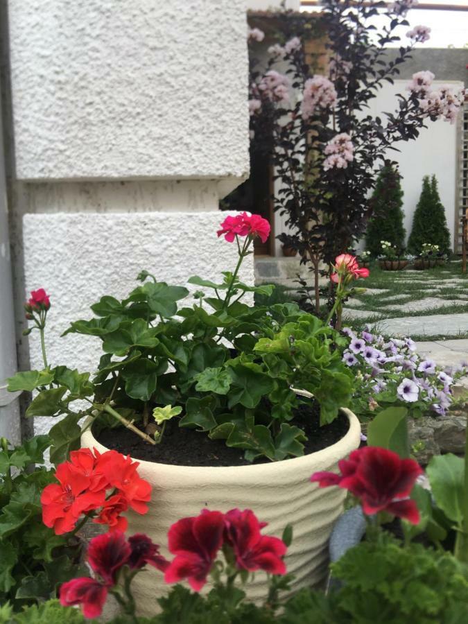 Hotel My Garden Tbilisi Esterno foto