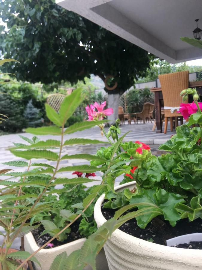 Hotel My Garden Tbilisi Esterno foto