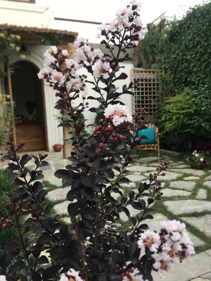 Hotel My Garden Tbilisi Esterno foto